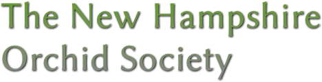 The New Hampshire
Orchid Society